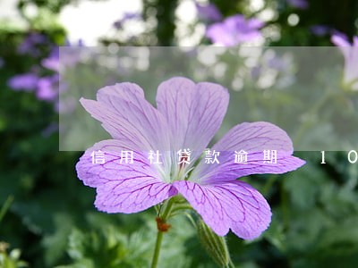 信用社贷款逾期 10年 信用社贷款逾期 10年